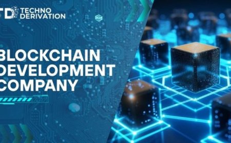 Why Blockchain Development Company Are Key to the Next Internet (Web3)