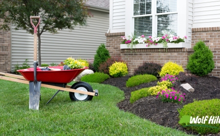 Redefining Outdoor Living with Landscaping in Manassas, VA