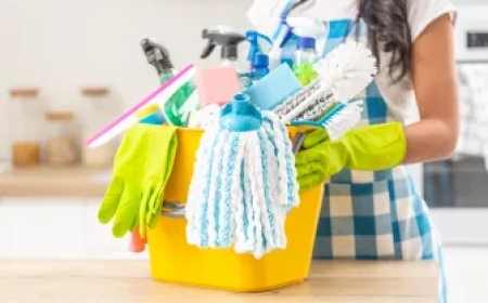 Home Cleaning Services Chicago, IL