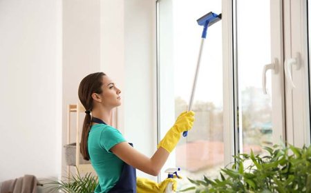 Window Cleaning Services Sevierville, TN