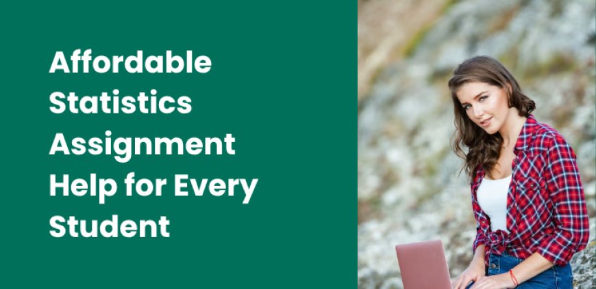 Affordable Statistics Assignment Help for Every Student