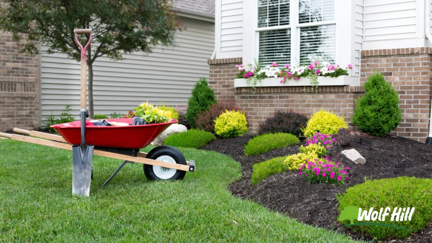 Redefining Outdoor Living with Landscaping in Manassas, VA