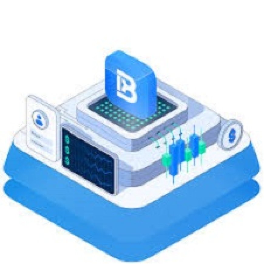 Master Forex Trading with Btcdana’s Forex Demo Account