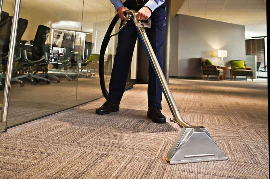 Professional Carpet Cleaning Denver, CO