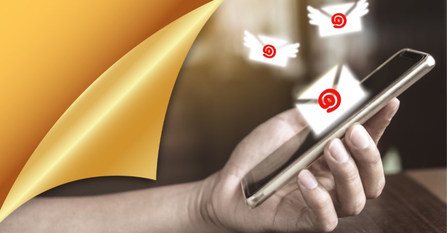 Florida Email List: The Ultimate Guide to Building and Using Targeted Contacts in the Sunshine State
