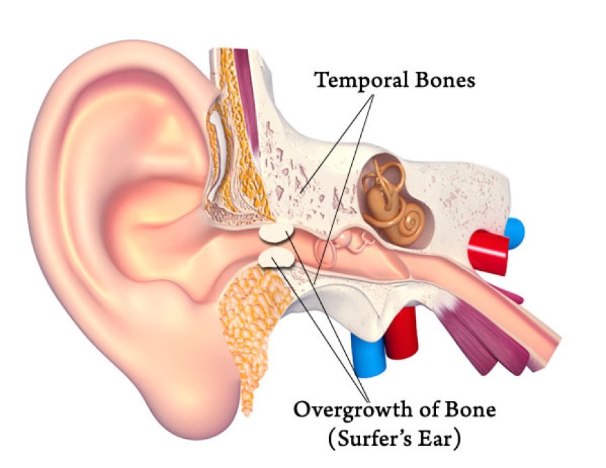 When Sinuses Spin Your World: Understanding and Treating Vertigo