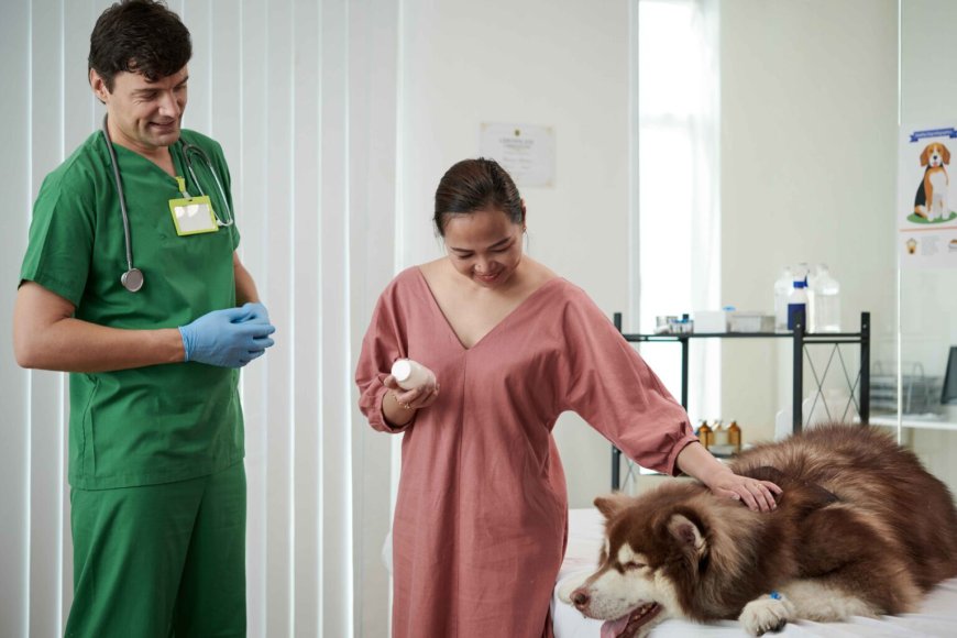 Vet Poison Control: How to Keep Your Pet Safe from Common Household Hazards