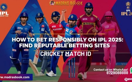 Is It Safe to Use Online Cricket Match ID? What Every User Should Know