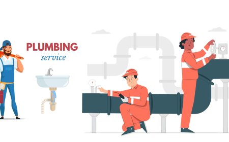Reliable Plumbing Solutions: Your Go-To Guide for Plumbers in Phoenix, Arizona