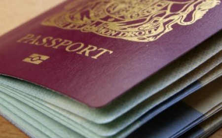 Property Inspection Report North London Immigration Compliant Reports from Local Experts