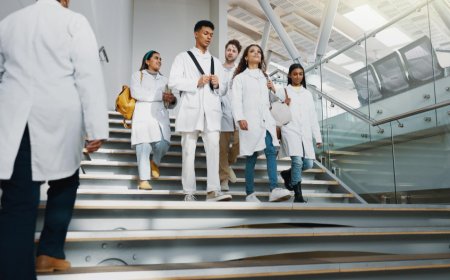 The IMG & Medical Student Success Path: Key Stages to a Thriving Career