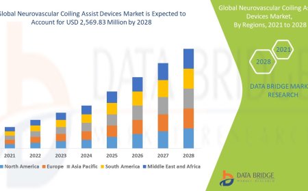 Neurovascular Coiling Assist Devices Market Overview: Key Drivers and Challenges