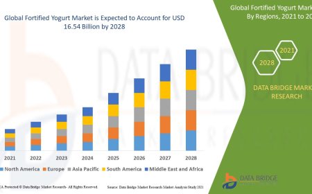 Fortified Yogurt Market Overview: Key Drivers and Challenges