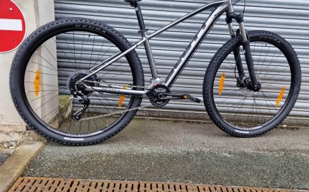 Design and Feature Insights of Select Bicycles in the U.S. Market