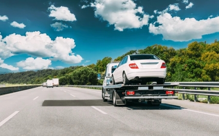 From Showroom to Scrap: The Life Cycle of Iconic Car Models