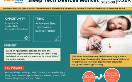 Meeting Pods Industry Share, Size, and Competitive Landscape 2030