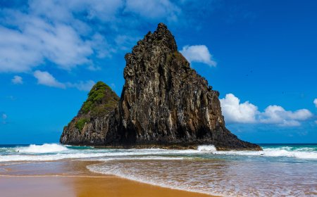 Everything You Need to Know About the Turkish Airlines New York City Office