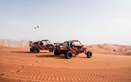 Evening Desert Buggy and Dinner in Dubai Explained