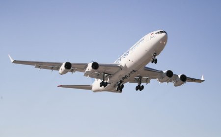 How to Talk to a Human at Southwest vs Frontier: What’s Easier?