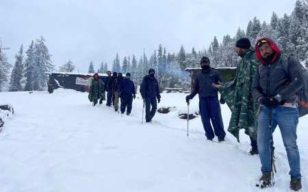 Best Time To Visit Kedarkantha Trek – A Visit To The Four Seasons With TrekYaari