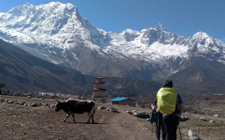 The Manaslu Circuit Trek: seasons summary, Guide to when to do the Manaslu Circuit Trek.