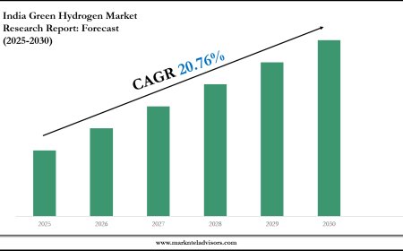 India Green Hydrogen Market Intelligence Report: 2025–2030 Forecast & Trends