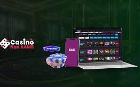 Metodi di Pagamento nei Casino Online: Guida Completa per i Giocatori