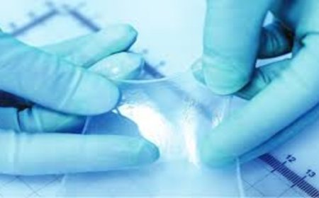 The Detailed Guide to Barrera for Wound Care Management