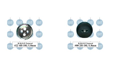 Top Real Shell Button Suppliers in Bangladesh – 2025