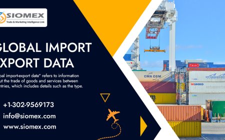 How to Identify Trusted Import Export Data Providers.
