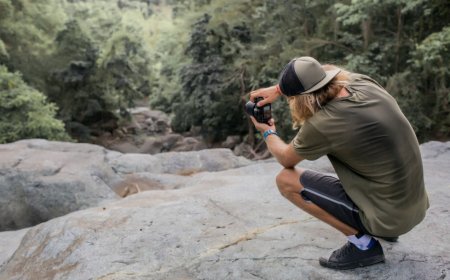 Capturing the Wild: The Art and Impact of Wildlife Photography