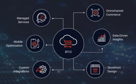 Top Skills to Look for in React Native App Developers
