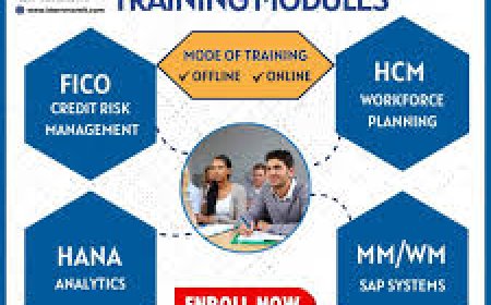 S.A.P fico institute in Ameerpet