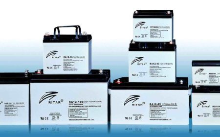 Is Phoenix Worth It? A Look into Its Performance and Value