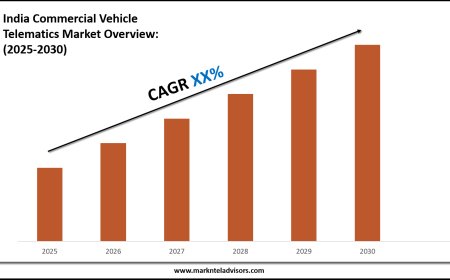 2025–2030 India Commercial Vehicle Telematics Market Landscape: Growth, Share & Opportunities