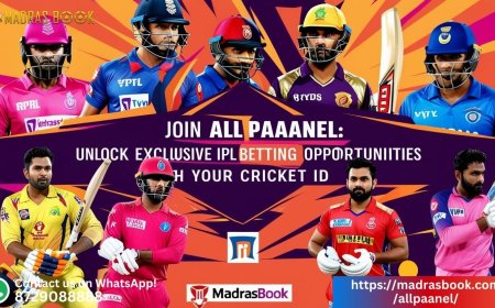 Allpaanel 777 Login Guide: How to Register & Start Betting Instantly