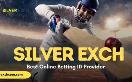 Silverbhai – Secure Gaming Experience with Trusted Digital Exchange