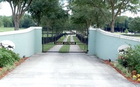 Florida German Shepherd Breeders | Quality Dogs for Every Home