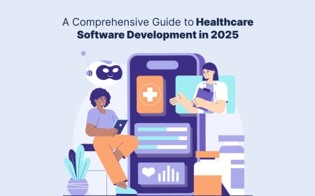 A Comprehensive Guide to Healthcare Software Development in 2025