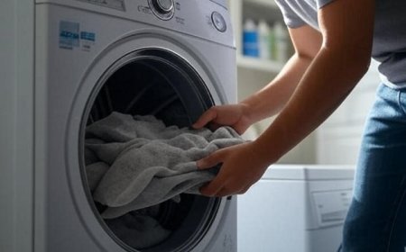 Is it possible to clean a Clovis dryer lint trap without removing it