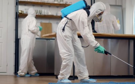 Defend Your Home: Elite Pest Control That Works Wonders