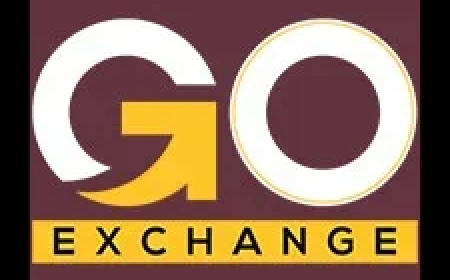 The Technology behind Ball by Ball ID: How Every Delivery Is Tracked?