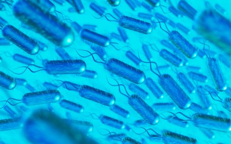 Is Parasite Weight Gain Real? Separating Facts from Myths