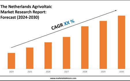 The Netherlands Agrivoltaic Market Volume, Trends and Growth Outlook Report 2030