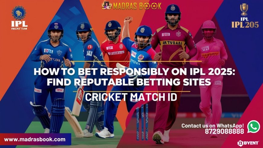 Is It Safe to Use Online Cricket Match ID? What Every User Should Know