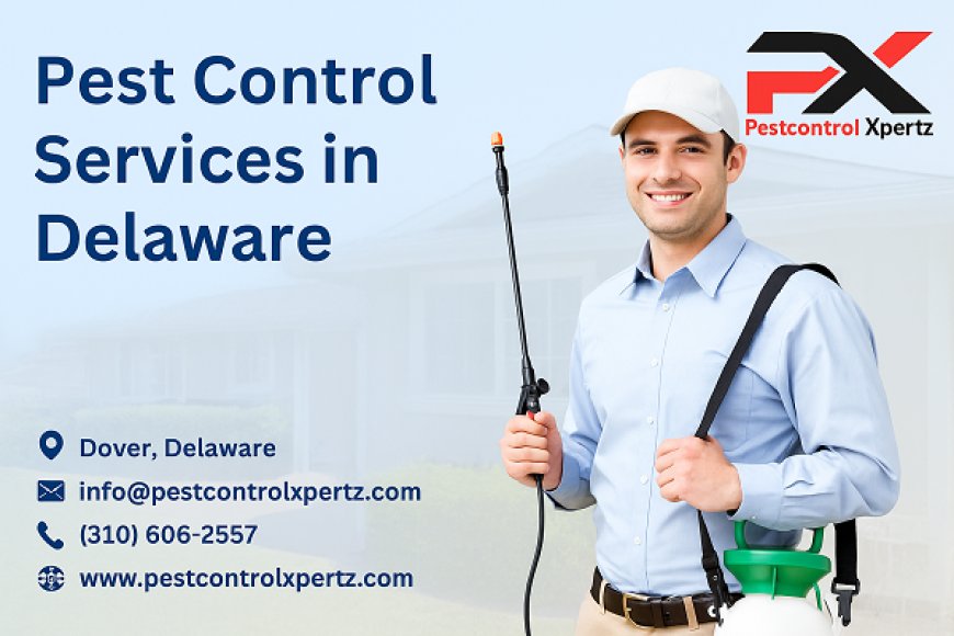 Eco-Friendly Pest Control in Glasgow: Safe and Sustainable Solutions