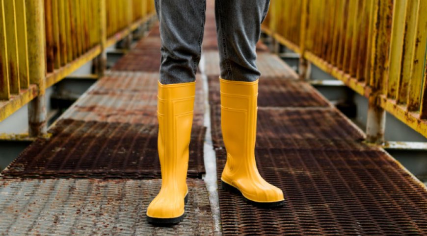 Work Boot Insoles 101: What You Need to Know Before You Buy