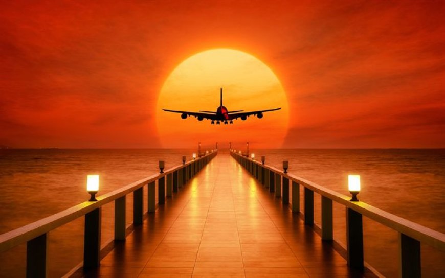 Flying Delta from FLL? Everything You Need to Know About the Terminal