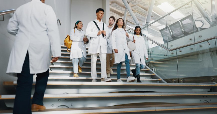 The IMG & Medical Student Success Path: Key Stages to a Thriving Career