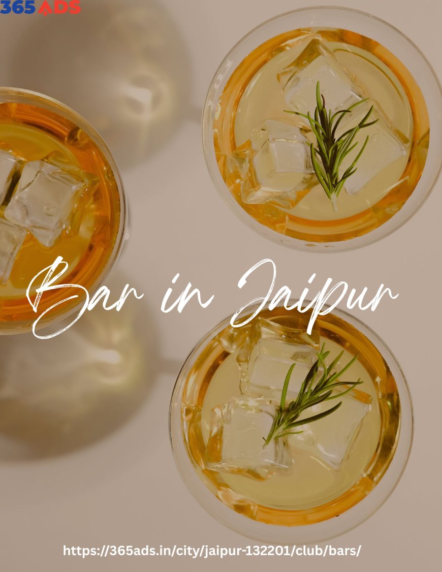 Top Bars in Jaipur: A Nightlife Odyssey in the Pink City
